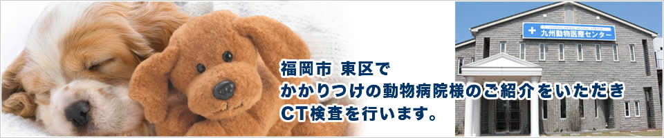 福岡市 東区で かかりつけの動物病院様のご紹介をいただき CT検査を行います。