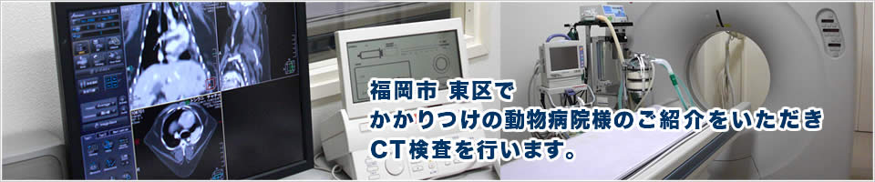 福岡市 東区で かかりつけの動物病院様のご紹介をいただき CT検査を行います。